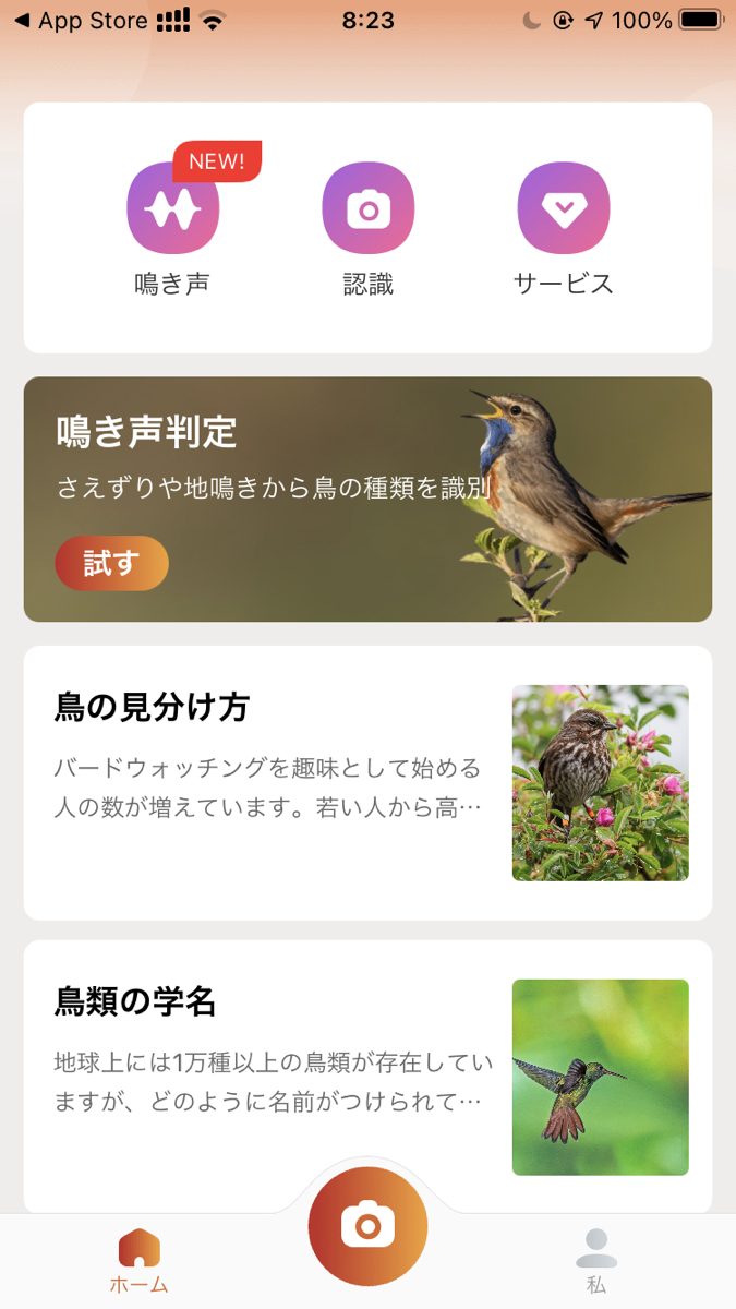 バードウォッチャー必須の人気のおすすめ野鳥図鑑アプリ8選 App Queen